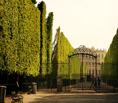Schöne, geräumige Altbauwohnung 5 min vom Schloss Schönbrunn entfernt. Grünblick Vienna, Austria Schöne Wohnung in Wien bei Schloss Schönbrunn Entire rental unit vacation rental 52804389