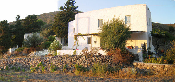 Maison traditionnelle située à 300 m de la plage dans la vallée de Lefkes, l’une  Lefkes House Entire home vacation rental 25019417