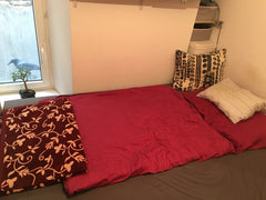 Nettes, ruhiges, kleines Zimmer zwischen Augarten und Donaukanal! Gemütliches Do Vienna, Austria Cozy little room near Augarten and Donaukanal Private room in rental unit vacation rental 19002989