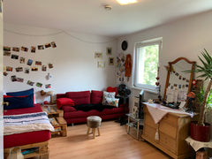Mit 27qm bietet das hofseitige, sonnendurchflutete Apartment durchgehend optimal  Apartment-Hit in the Center of Vienna Entire rental unit vacation rental 43949421