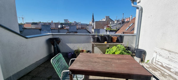 Genieße einfachen Zugang zu allem von dieser perfekt gelegenen Unterkunft aus.  Single room nxt main train station, downtown, U1 Private room in rental unit vacation rental 703241367211767161