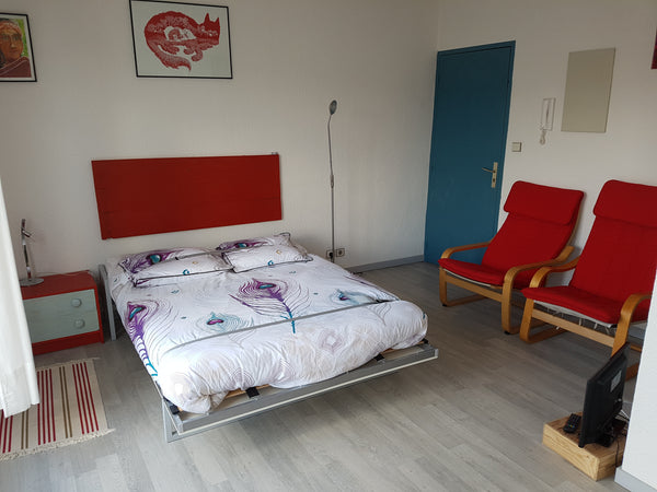 Voyageur en vacance, touriste en repos ou salarié déporté, vous permettra de tro Bordeaux, France Bordeaux Red and Rouge Entire rental unit vacation rental 28061225