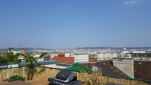 Vienna, Austria Loft mit Dachterrasse mit Blick über ganz Wien !! Private room in loft vacation rental 19021006