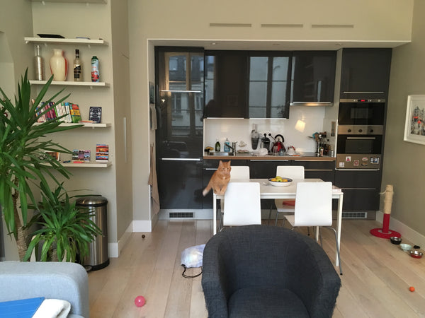 Mon logement est proche de la très célèbre rue Montorgueil. A 5 minutes à pied d Paris, France Superbe 2 pièces en plein centre de Paris Entire rental unit vacation rental 24188622