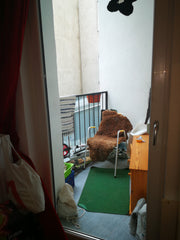 In unserer WG (Nussdorfer Straße 68/9) leben 3 Erwachsene und 2 Kinder.<br />Son  Music&Art Private room in rental unit vacation rental 33581509