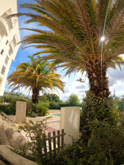 Je loue une chambre dans un logement T3 de 62m², situé au 6ème étage, plein sud, Mérignac, France Chambre au balcon Private room in condo vacation rental 52370609