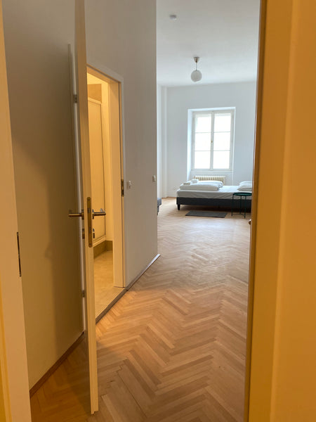 „Palais Pàlffy“ leben wie ein Fürst!<br />Tauchen Sie ein in die historische Wel  Cozy Bright Apartment next to Sights Entire rental unit vacation rental 44446828