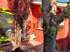 Maison chaleureuse quartier calme, pour 2 personnes, 46m2 avec un petit jardinet Mérignac, France Cosy house for  2 people Entire townhouse vacation rental 19281127