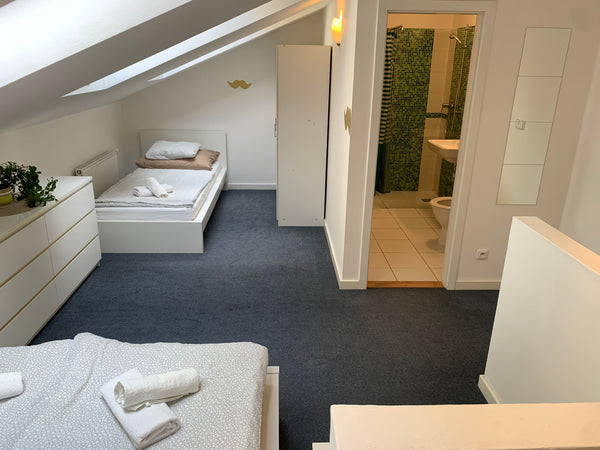 Prague, Czechia Little Tom Privat Apartment A Entire condo vacation rental 50282738