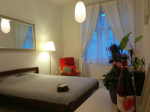 Spacious Apartment in Vyšehrad, Prague's oldest district, walking distance to ci Prague, Czechia Spacious Art-Nouveau Apartment Entire rental unit vacation rental 3697268