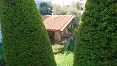 Enjoy the character of this elegant, luxurious space.<br /><br /><b>License numb  KNOSSOS LUXURY B&B Private room in bed and breakfast vacation rental 604748236148525251