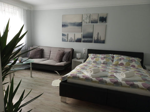 ,,Our Haven" is a cosy studio.   It has 37 square meters.  Place is on the first Vienna, Austria ,,Our Haven in 1220" Entire rental unit vacation rental 36346857