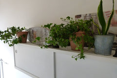 Cet appartement, qui est une ancienne maison de maître, est situé au coeur de Br Brussels, Belgium Appartement au centre de Bruxelles Entire condo vacation rental 41081010