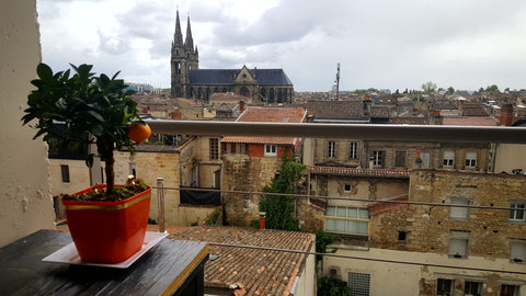 Great flat in the heart of the Chartrons neighborhood (one of the best of Bordea La Rochelle, France Bedroom in the city center Private room in rental unit vacation rental 18387924