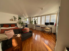 Genieße ein stilvolles Erlebnis in dieser zentral gelegenen Unterkunft. Vienna, Austria Sunny Apartment in the City Center Entire rental unit vacation rental 52629178