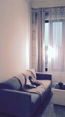 Venez découvrir mon petit nid douillet, idéal pour vivre de précieux moments en  Bordeaux, France Nid douillet - T2 Entire rental unit vacation rental 22477617