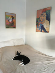 Lovely, light and cozy apartment in the Nordvest area of Copenhagen. 15-20 minut Copenhagen, Denmark Light, cozy studio apartment in lovely Nordvest Entire condo vacation rental 51321879