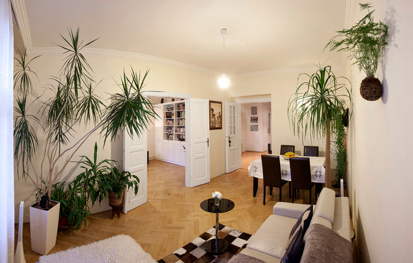 This apartment is suitable for business travellers, couples as well as solo trav Prague, Czechia Charismatic 1920's apartment near Prague Castle Entire rental unit vacation rental 14822134