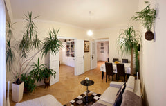 This apartment is suitable for business travellers, couples as well as solo trav Prague, Czechia Charismatic 1920's apartment near Prague Castle Entire rental unit vacation rental 14822134