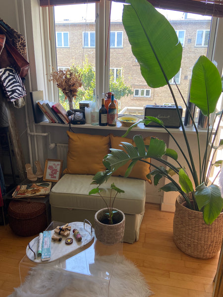 Hyggelig lille oase med massere af planter  mellem by og strand i et roligt områ Copenhagen, Denmark Hyggelig lille oase mellem by og strand Entire condo vacation rental 37508843