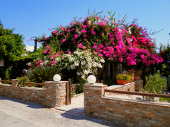 Our double studios are ideal for those seeking peaceful vacations. You will be s Naxos, Greece Dimitra Studios (Standard Studio) Room in hotel vacation rental 5932048