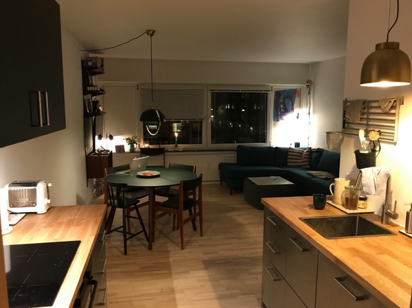 This unique area of Copenhagen called <br />Islands brygge is very close to all  Copenhagen, Denmark Very cosy 1 bed flat.  Close to all parts of Cph Entire condo vacation rental 643853311736568904
