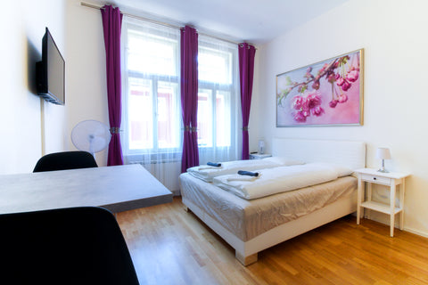 A spacious, bright, and fully furnished apartment in an excellent location in th Prague, Czechia Bouquet apartment 307 Entire rental unit vacation rental 39592204