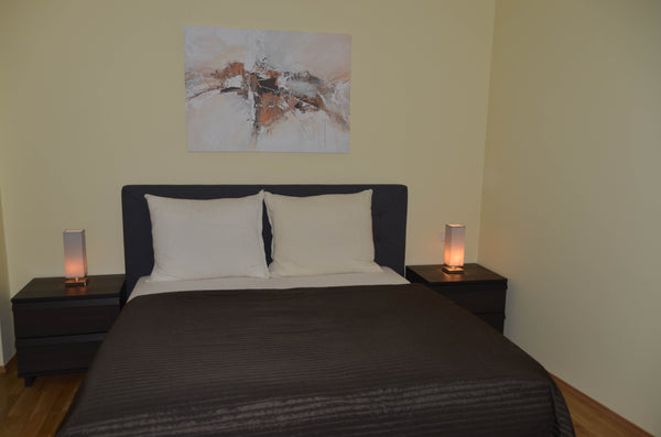 The apartment is about 10 minutes walking distance from the city center and loca Vienna, Austria Luxus-Apartement Wien (IV) VIVIENNE Entire rental unit vacation rental 19230048