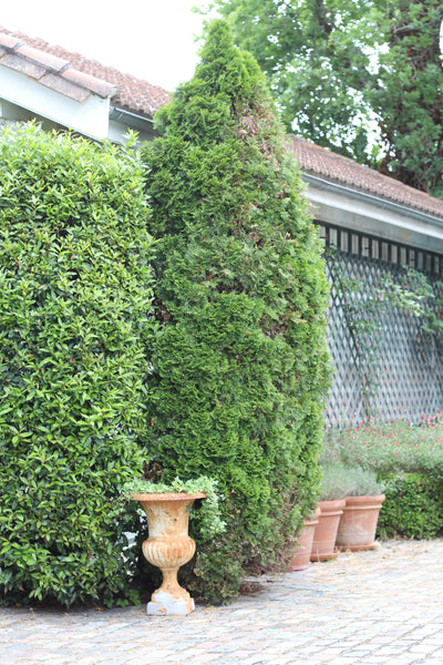 Maison 2chambres, proximité Bordeaux, dans grand parc arbore avec maison18eme,   Biarritz, France Maison dans parc arbore Entire home vacation rental 6650606