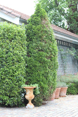 Maison 2chambres, proximité Bordeaux, dans grand parc arbore avec maison18eme,   Biarritz, France Maison dans parc arbore Entire home vacation rental 6650606