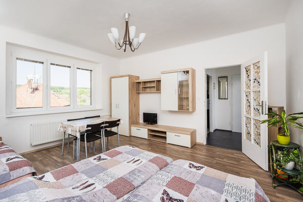 PRIVATE modern apartment with access to everything what you need for your pleasa Prague, Czechia Modern apartment for 3 people Entire rental unit vacation rental 10182908