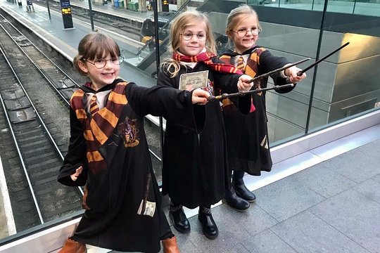 Harry Potter's London Experience Tour  Private Tours and Travel Guide Europe London CITY London Destination Tour