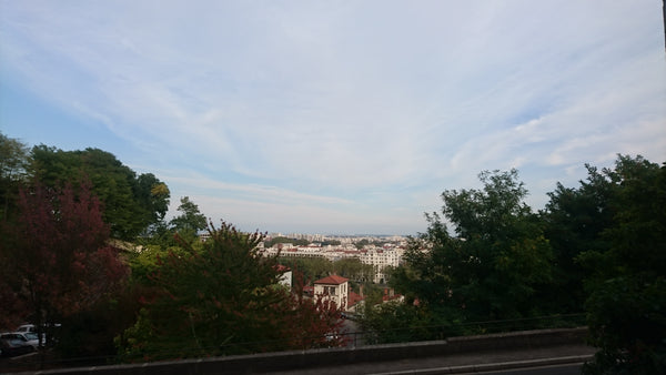 Le logement est proche de la croix-rousse, petit 