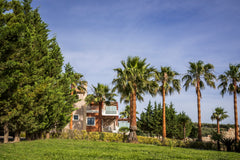 Set within splendid gardens with palm trees, flowers, shrubs and with stunning v Platanias, Greece Kissos Luxury villa with private pool platanias Entire home vacation rental 43635328