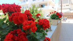 Wonderful studio near sandy beach<br /><br />Nice location just 2kilometers from Heraklion, Greece Wonderful studio near sandy beach Entire rental unit vacation rental 33122623