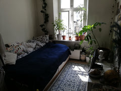 Cosy and warm room in the heart of the Inner City.  Very close to grocery stores Copenhagen, Denmark Warm and cosy room in Inner City Private room in rental unit vacation rental 25003807