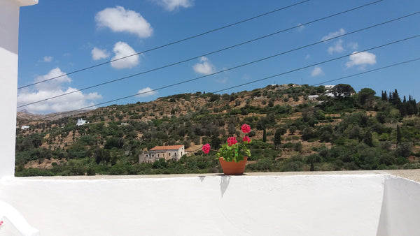 This house was built from our grandpa in 1950. He lived there with his 6 member  Naxos, Greece Kourion Entire home vacation rental 13774231