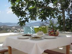 This is a historical and private house perched above the idyllic village of PLAK Biel/Bienne, Switzerland AMAZING VIEW - Villa Thea Milos Cycladic home vacation rental 4964242