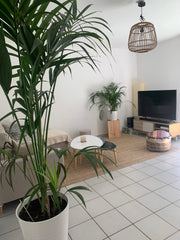 Appartement de 50m2, salon spacieux, cuisine équipée ( lave vaisselle, four, mic Pessac, France Appartement confortable et bon emplacement. Entire condo vacation rental 44015874