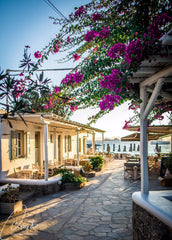This property is exactly on the beach. The family run modern rooms, with a small Greece Absolutely on the beach, Boutique deluxe Room Room in boutique hotel vacation rental 6204097