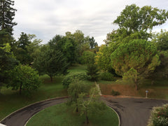 Ce logement est l idéal pour vous détendre dans un écrin de verdure , proche de  Blanquefort, France Appartement Blanquefort  3 lits Entire condo vacation rental 37883244