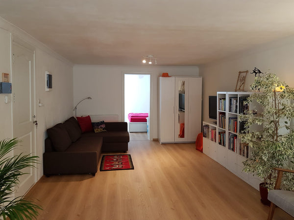 Comfy apartment for a short or long stay Entire rental unit vacation rental 52792187