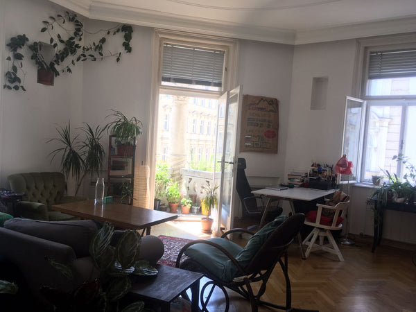 It is a cozy, spacious and sunny room. The room is in a shared flat. The flat is Vienna, Austria Cozy, Spacious and Sunny Room (30m2) Private room in rental unit vacation rental 27324005