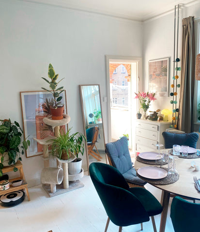 Small and very cosy apartment in central Nørrebro, no traffic noise and walking  Copenhagen, Denmark Cosy apartment in central Nørrebro Entire condo vacation rental 696702749136467263