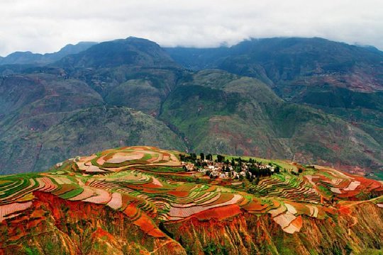 Two Days Colorful Private Tour from Kunming to Dongchuan Red Land  Private Tours and Travel Guide Asia Shanghai CITY Kunming Destination Tour