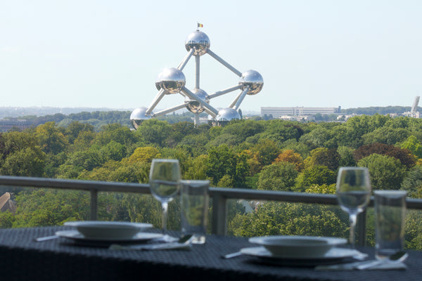 Apartment with 1 bedroom 50 sq. m. + balcony, renovated in 2015. Close to Brusse Court-St.-Etienne, Belgium Very complete  Apt. with Parking, Terrasse, View Entire rental unit vacation rental 5589740
