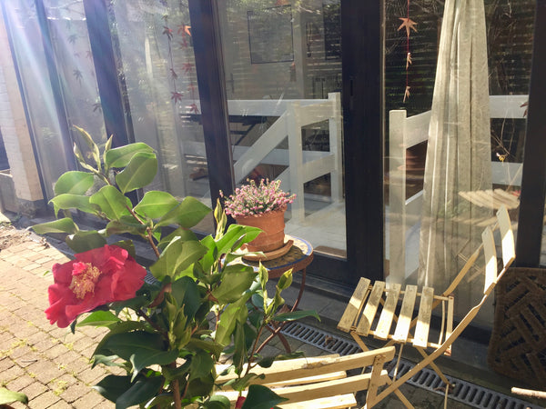 Le studio se situe dans un oasis vert et calme en intérieur d’îlot à l’abris des Ixelles, Belgium studio d'artist Entire rental unit vacation rental 34250500