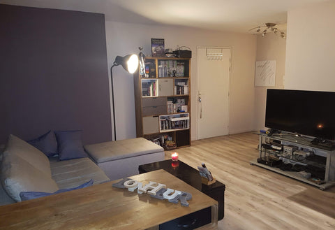 Bienvenue à Bordeaux dans ce T2 de 50m3. Situer à deux pas de la ligne C du tram France Appartement bordeaux ravezie Entire rental unit vacation rental 22745576