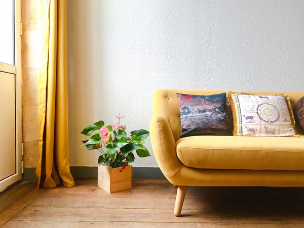 Appartement de 50 m2, propre sécurité !<br />+chambre : un lit de 1.4*2m, un bur Évian-les-Bains, France Joli appartement T2 au bord de rivière Entire rental unit vacation rental 44630821