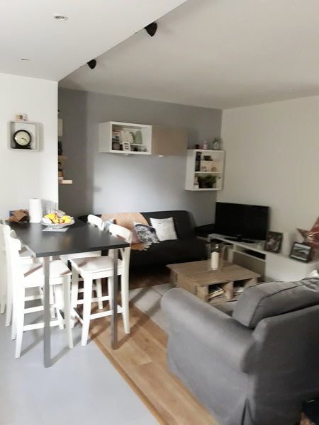 Joli appartement de 45 m2 en rdc surélevé avec une chambre refait à neuf dans pe Bordeaux, France Le bouscat appart cosy proche bordeaux et commerce Entire condo vacation rental 25046053